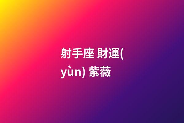 射手座 財運(yùn) 紫薇-第1張-星座運(yùn)勢-玄機(jī)派